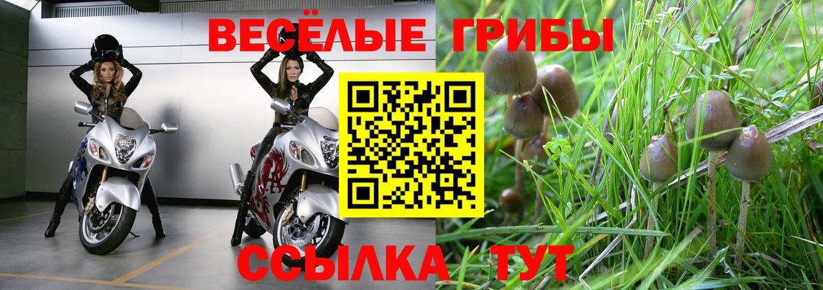 Волоколамск  Галлюциногенные грибы Magic Shrooms  магазин продажи   Вход с VPN 
