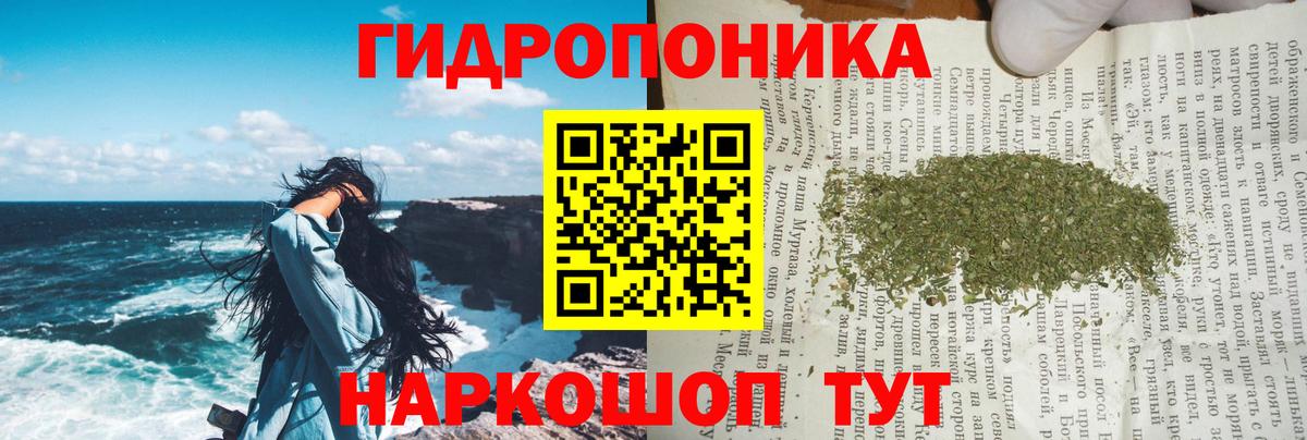 Каннабис Amnesia  Шишки марихуана конопля  Вход с VPN  МАРИХУАНА Amnesia  Волоколамск  Бошки Шишки гибрид 